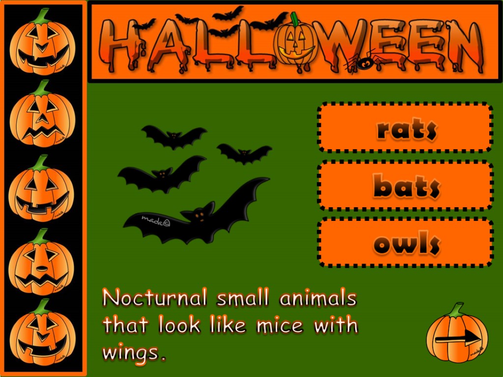 Nocturnal small animals that look like mice with wings. rats bats owls